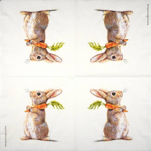 Paper Napkin - Rabbit & Carrot