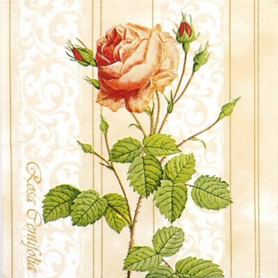 Single Paper Napkin - Rose Wallpaper