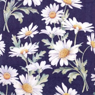 Single Decoupage Napkin - Beautiful daisies blue