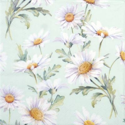 Single Decoupage Napkin - Beautiful daisies green