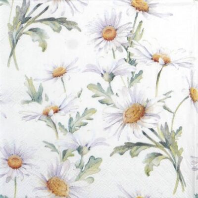 Single Decoupage Napkin - Beautiful daisies white