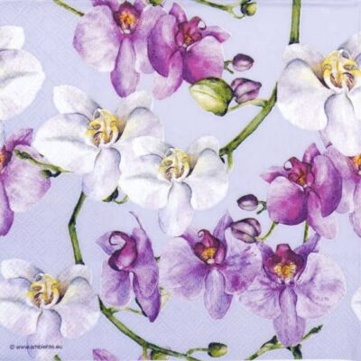 Single Decoupage Napkin - Elegant orchids blue