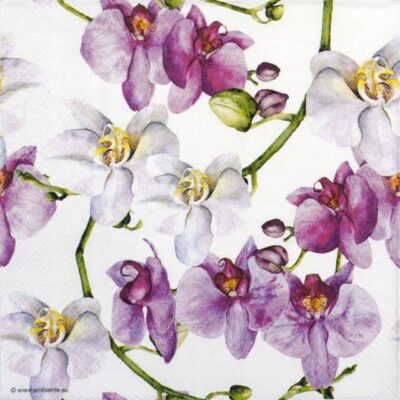 Paper Napkins - Elegant orchids white (20 pieces)