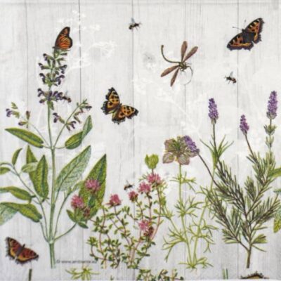 Single Decoupage Napkin - Herb Garden