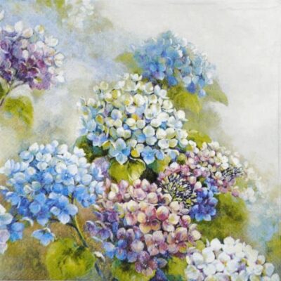 Single Decoupage Napkin - Hydrangea shades