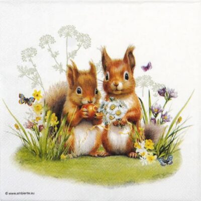 Single Decoupage Napkin - Little squirrels
