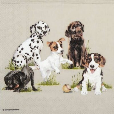 Single Decoupage Napkin - Playing puppies