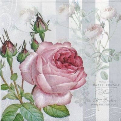 Single Decoupage Napkin - Yara