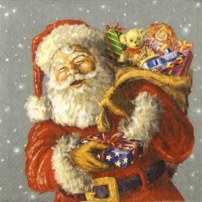 Lunch Napkins (20) - Gift for you