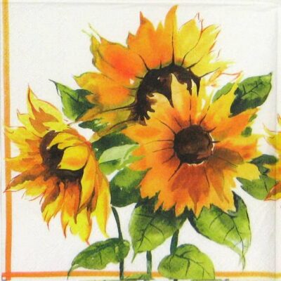 Lunch Napkins (20) - Girasoli