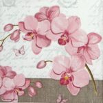 Paper Napkin - Orchids & Love