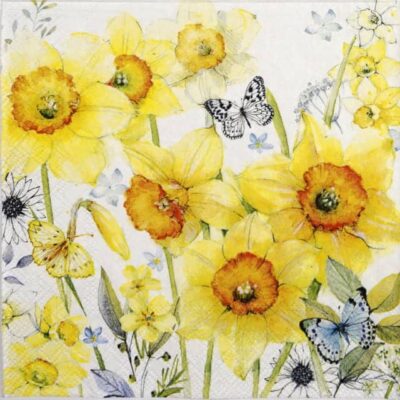 Cocktail Napkins (20) - Classic Daffodils