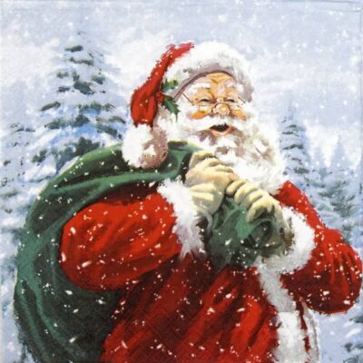 Lunch Napkins (20) - Ho Ho Ho