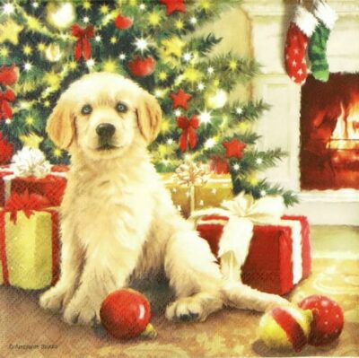 Paper Napkin - Waiting for Present
