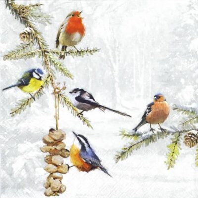 Lunch Napkins (20) - All Birds Together