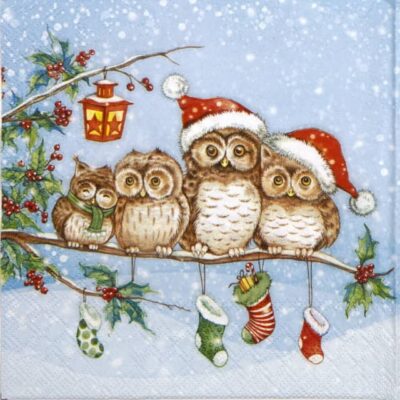 Lunch Napkins (20) - Warm Together