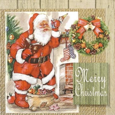Lunch Napkins (20) - Sorting Gifts