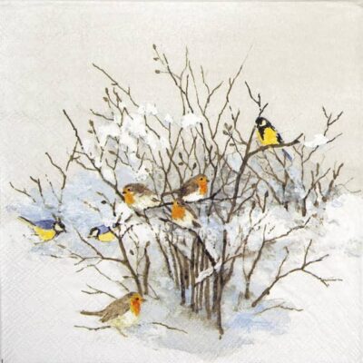 Paper Napkin - Birds on Branches