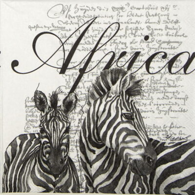 Paper Napkin - Africa White