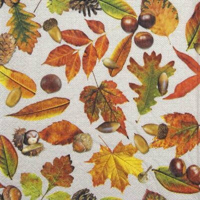 Cocktail Napkin - Autumn Festival