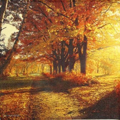 Paper Napkin - Autumn Park