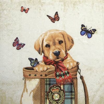 Lunch Napkins (20) - Buddy