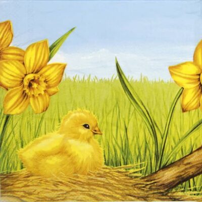 Lunch Napkins (20) - Easter Starts