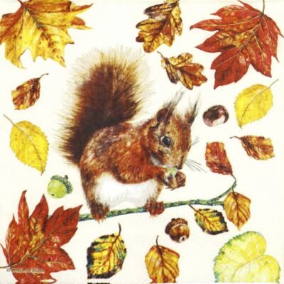 Lunch Napkins (20) - Eating Squirrel