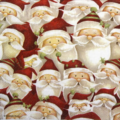 Lunch Napkins (20) - Funny Santa