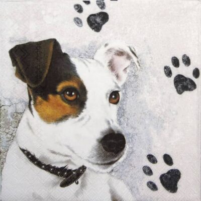 Lunch Napkins (20) - Jack Russel