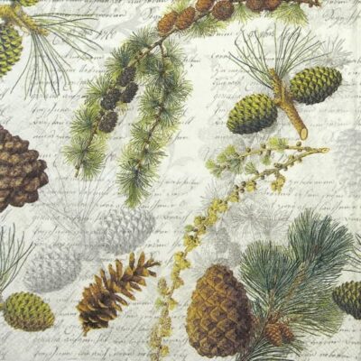 Cocktail Napkin - Life In Forest