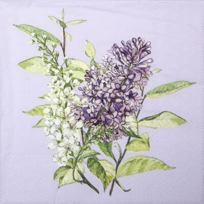 Paper Napkin - Lilac Lila