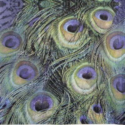 Lunch Napkins (20) - Peacock Feathers
