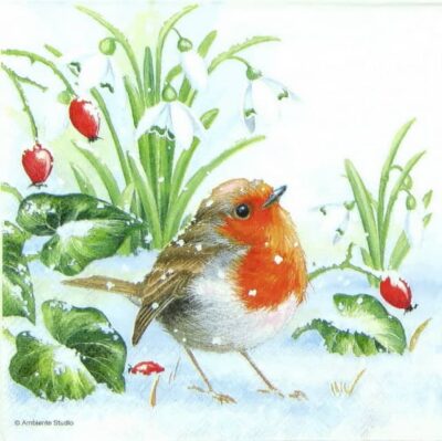 Single Paper Napkin - Robin