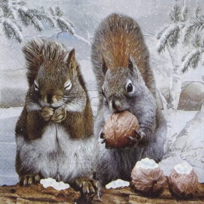Paper Napkin - Tasty Meal