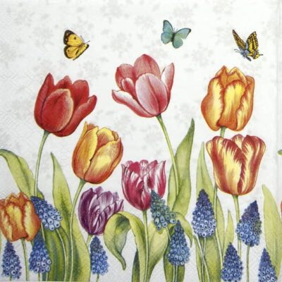 Cocktail Napkin - Tulips & Muscari