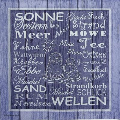 Paper Napkin - Beach Terms