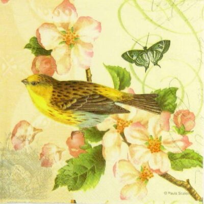 Lunch Napkins (20) - Birds and blossom