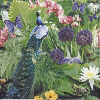 Lunch Napkins (20) - Blue peacock