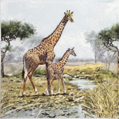 Paper Napkin - Giraffes