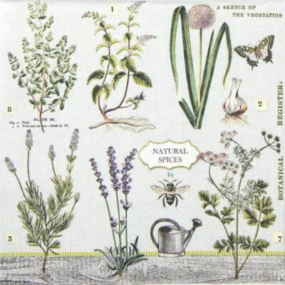 Paper Napkin - Herbs Garden