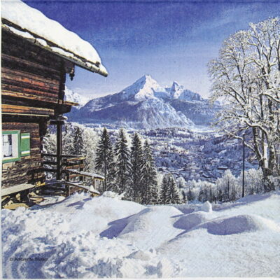 Lunch Napkins (20) - Mountain
