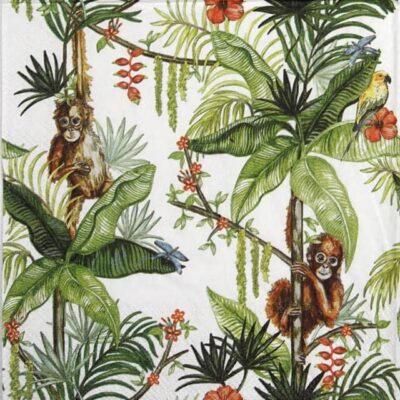 Cocktail Napkins (20) - Orangutan white