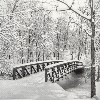 Single Paper Napkin - Snow Bridge
