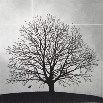 Paper Napkin - Tree