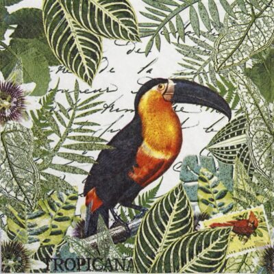 Paper Napkin - Tropicana