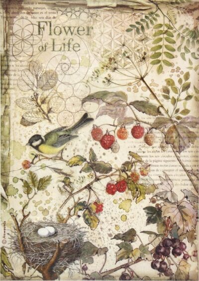 Rice Paper - Forest flowers and fruits - DFSA4459