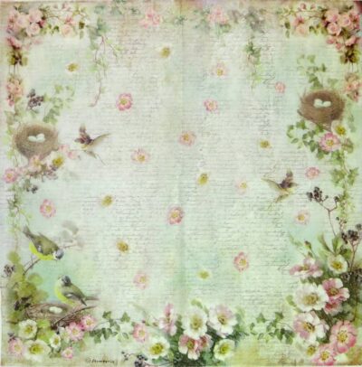 Stamperia Rice Paper - Birds in the Garden (50 x 50cm)