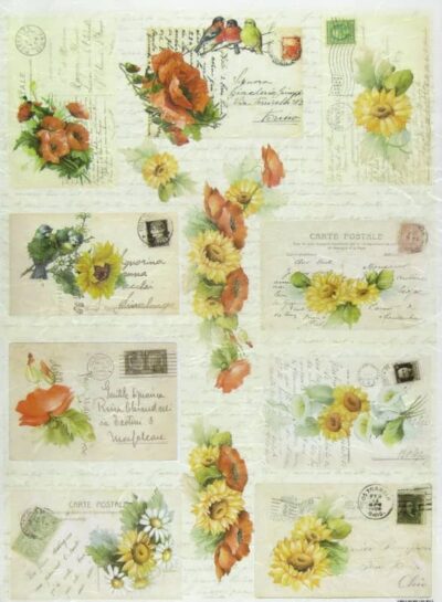 Rice Paper - Carte Postale 33x49cm