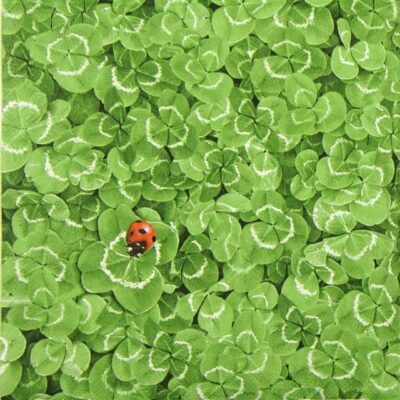 Single Paper Napkin - Clover Background with Ladybug